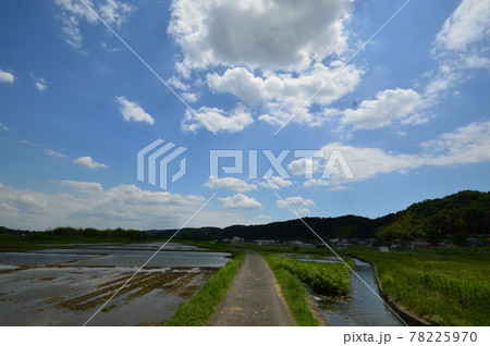 多摩の田んぼ　八王子市高月 78225970