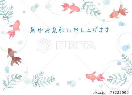 水彩 金魚と水草 暑中見舞いのイラスト素材