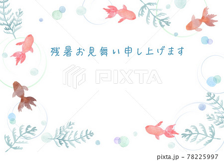 水彩　金魚と水草　残暑見舞い 78225997