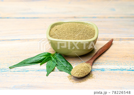 Andrographis paniculata plant 78226548