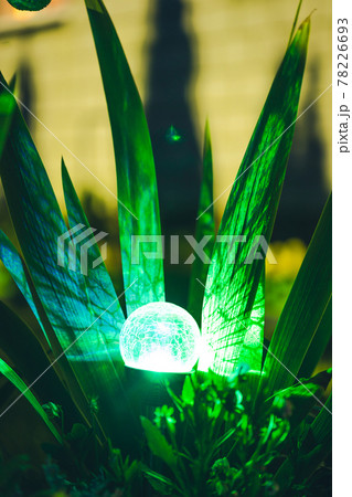 Night View Of Flowerbed Illuminated By Energy-Saving Solar Powered Colorful Multi-colored Lantern On Yard. Beautiful Small Garden With Green Light, Lamp In Flower Bed. Garden Design 78226693