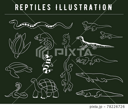 手描き風のいろいろな爬虫類のイラストセット 手描き風のいろいろな爬虫類のイラストセット 78226726