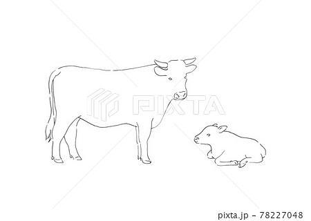 黒毛和牛の親子のイラスト-手描きの線画 78227048