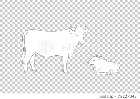 黒毛和牛の親子のイラスト-手描きの線画 78227048
