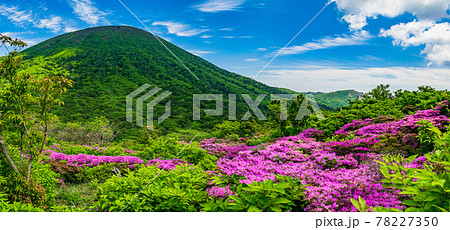 新緑の霧島山とミヤマキリシマの群落 新緑の霧島山とミヤマキリシマの群落 78227350