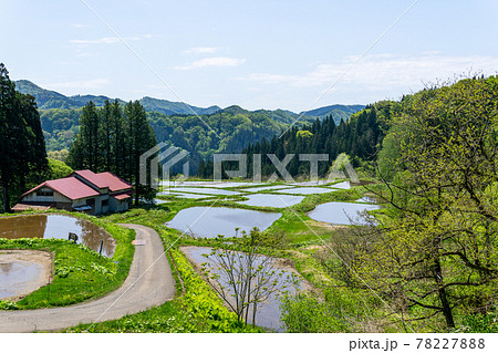 藤里町の棚田と山山 藤里町の棚田と山山 78227888
