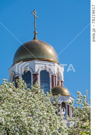 Blooming apple tree against the background of the Orthodox Church and blue clear sky. Temple-on Blood, Yekaterinburg, Russia Blooming apple tree against the background of the Orthodox Church and blue clear sky. Temple-on Blood, Yekaterinburg, Russia 78228617