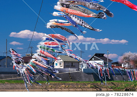 北上展勝地のさくらまつり 北上展勝地のさくらまつり 78228674