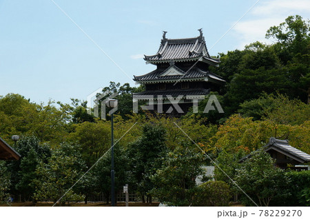 夏の西尾城 二之丸から見た丑寅櫓 夏の西尾城 二之丸から見た丑寅櫓 78229270