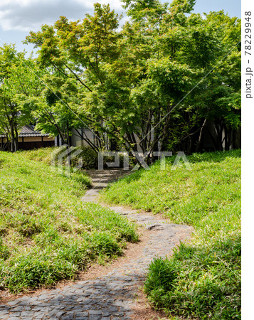 初夏の古都 小布施の美しい景色 北斎館前の広場 初夏の古都 小布施の美しい景色 北斎館前の広場 78229948