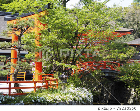 下賀茂神社の鳥居の風景 下賀茂神社の鳥居の風景 78230550