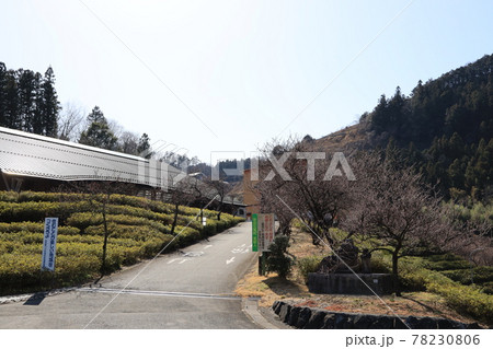 秩父市上吉田合角ダム吉田元気村の風景 秩父市上吉田合角ダム吉田元気村の風景 78230806