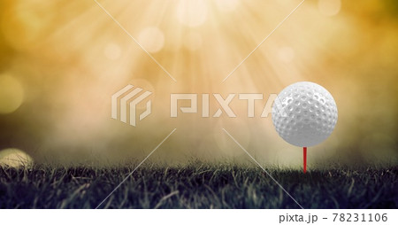 Composition of golf ball in grass on red tee and copy space Composition of golf ball in grass on red tee and copy space 78231106