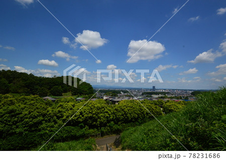 八王子鑓水絹の道の初夏はこんな感じ 78231686