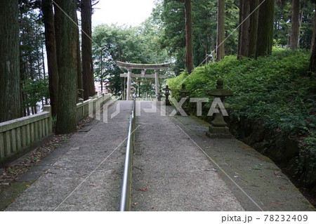 気多若宮神社、参道を下る 78232409