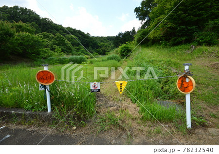 八王子鑓水絹の道の初夏はこんな感じ 八王子鑓水絹の道の初夏はこんな感じ 78232540