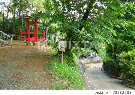 八王子鑓水絹の道の初夏はこんな感じ 八王子鑓水絹の道の初夏はこんな感じ 78232583