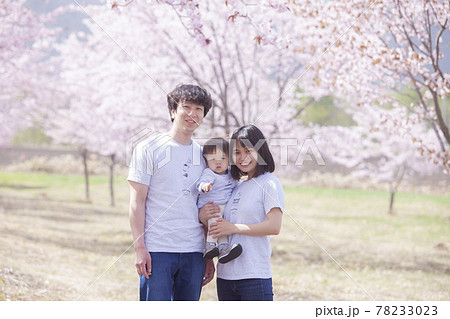 桜の下で遊ぶ家族 78233023