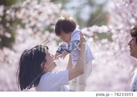 桜の下で遊ぶ家族 桜の下で遊ぶ家族 78233055