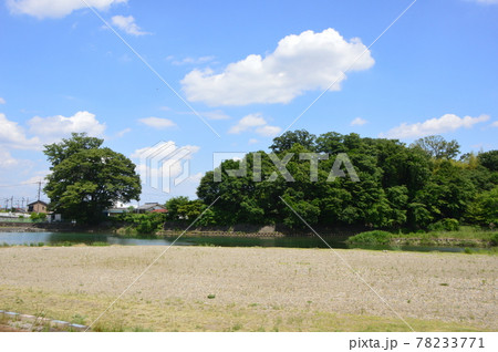 あきる野市小川の初夏はこんな感じ 78233771