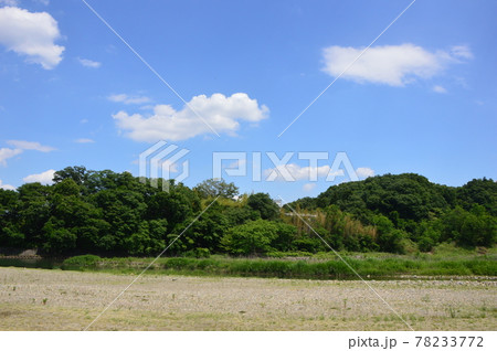 あきる野市小川の初夏はこんな感じ あきる野市小川の初夏はこんな感じ 78233772