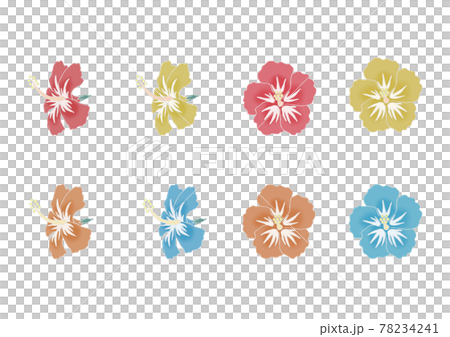 ハイビスカスの花 78234241