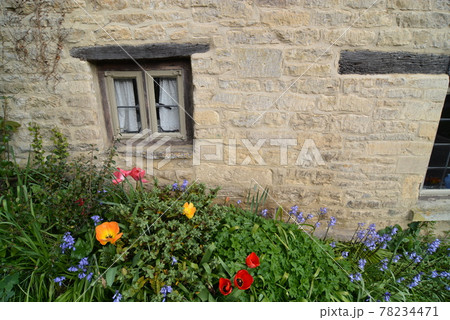 イギリスバイブリー 78234471