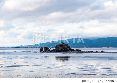 梅雨の似合うアジサイが海沿いの住吉自然公園に咲く風景 78234490