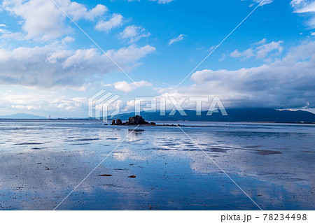 梅雨の似合うアジサイが海沿いの住吉自然公園に咲く風景 78234498