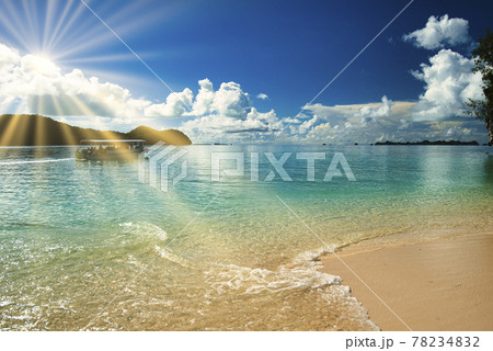 パラオの美しいサンゴ礁の海 パラオの美しいサンゴ礁の海 78234832
