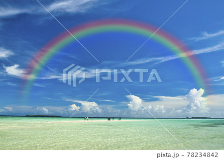 パラオの美しいサンゴ礁の海 パラオの美しいサンゴ礁の海 78234842