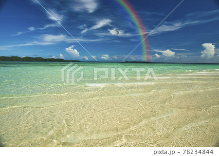 パラオの美しいサンゴ礁の海 78234844