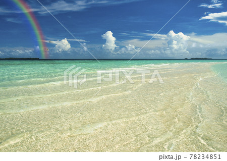 パラオの美しいサンゴ礁の海 78234851