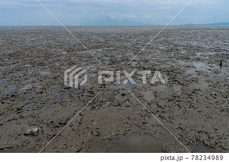 有明海の干潟　佐賀県 78234989