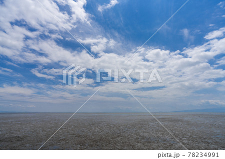 有明海の干潟　佐賀県 78234991