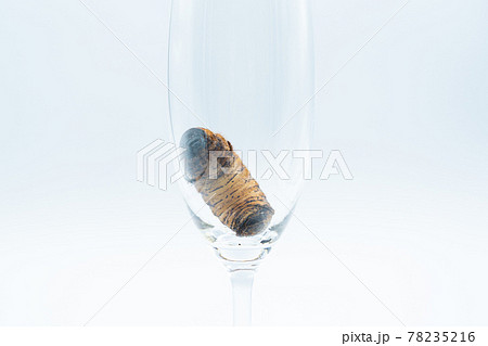 人工蛹室でのカブトムシメスの蛹化 78235216