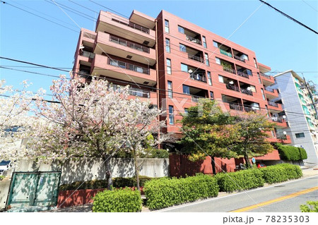 ライオンズマンション猫洞 78235303