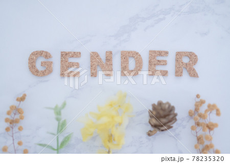 文字画像「GENDAR」 文字画像「GENDAR」 78235320