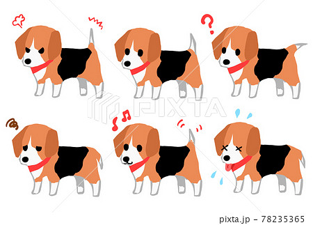 ビーグル犬の色々な表情のセットイラストのイラスト素材