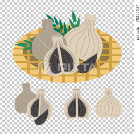 Black garlic illustration 78235534