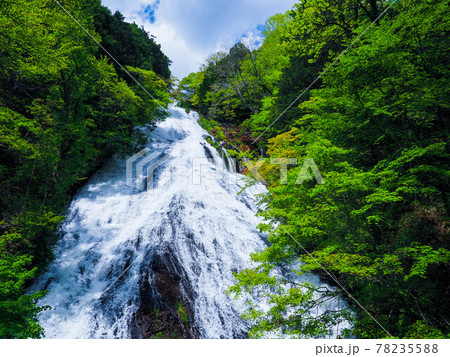 奥日光　新緑の湯滝 78235588