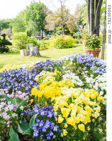 初夏の古都　小布施の美しい景色　満開の草花に彩られたくつろげる公園 78236063