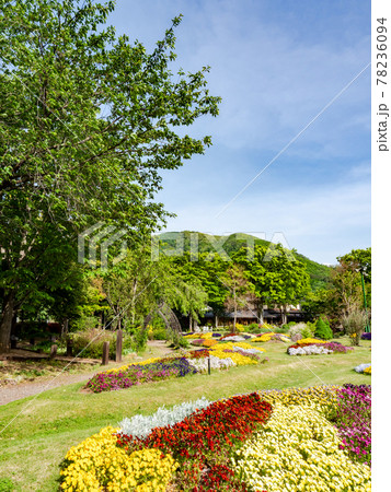 初夏の古都 小布施の美しい景色 満開の草花に彩られたくつろげる公園 初夏の古都 小布施の美しい景色 満開の草花に彩られたくつろげる公園 78236094