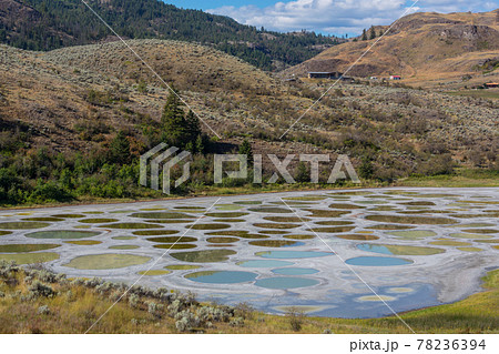 Spotted lake 78236394