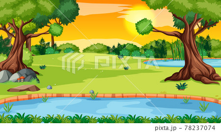 Landscape scene of forest with river and many trees Landscape scene of forest with river and many trees 78237074