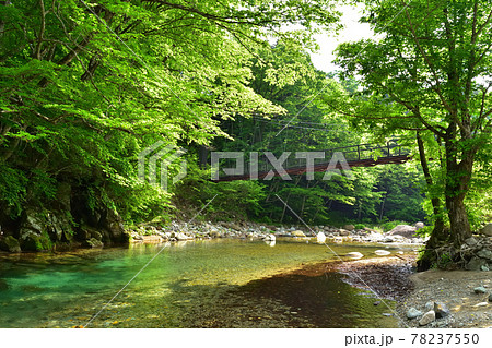 那須塩原を流れる木の俣川と巨岩吊り橋 那須塩原を流れる木の俣川と巨岩吊り橋 78237550