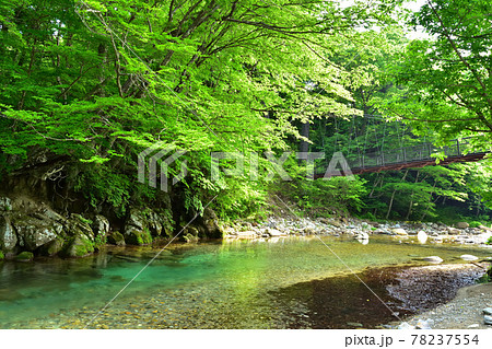 那須塩原を流れる木の俣川と巨岩吊り橋 78237554