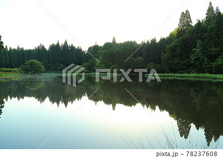 平池（だいらいけ）【滋賀県高島市今津町】 78237608