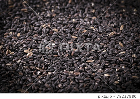 raw black rice as background.. Selective focus 78237980