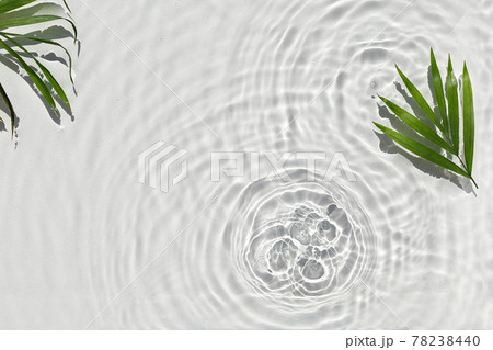 Abstract water texture with circles and palm leaf 78238440